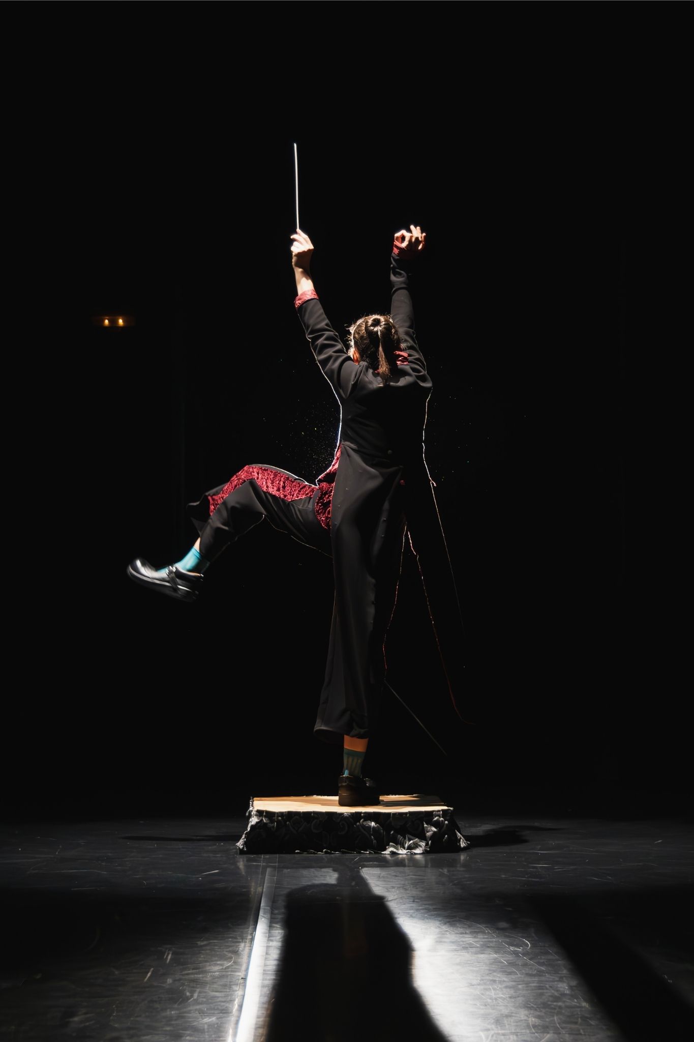 La fillaharmonica cia claricia espectacle clown familiar 8